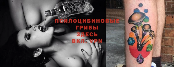 шишки Заволжье