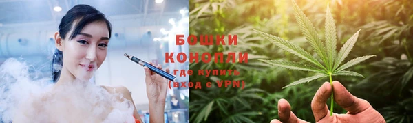 шишки Заволжье