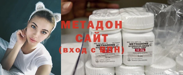 шишки Заволжье