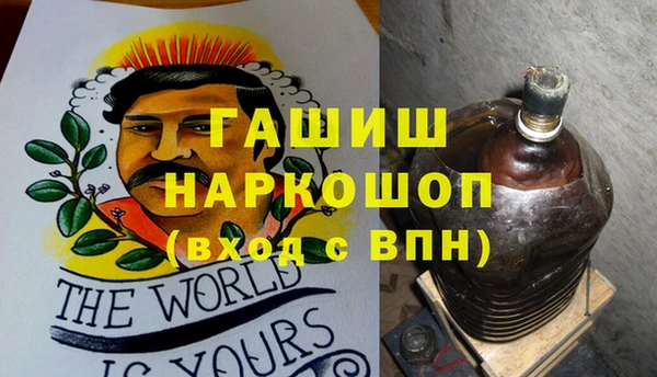 шишки Заволжье