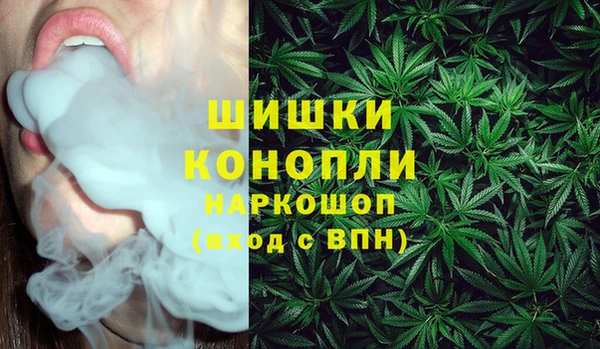 шишки Заволжье