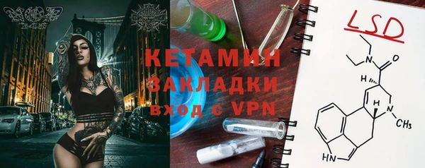 шишки Заволжье
