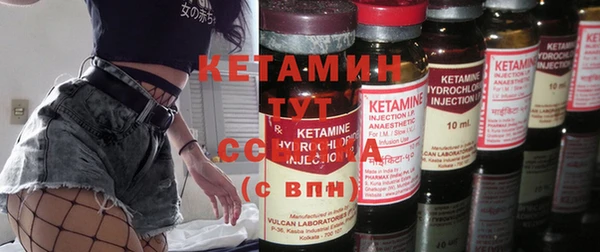 шишки Заволжье