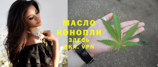 шишки Заволжье