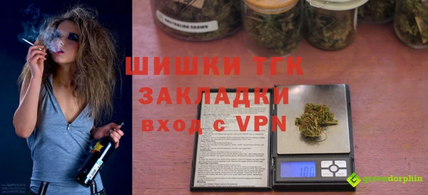шишки Заволжье